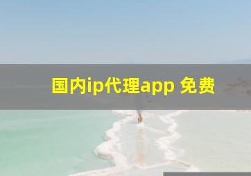 国内ip代理app 免费